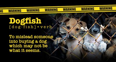 'Don't be Dogfished', pet lovers warned